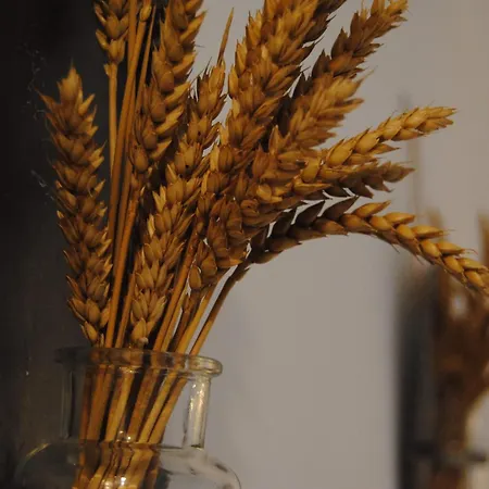 Fotinos House Maison d'hôtes