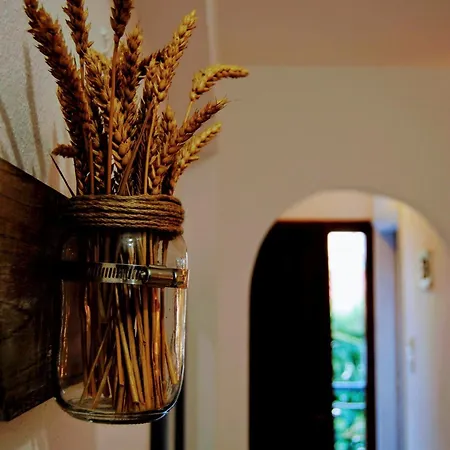 Fotinos House بيت ضيافة