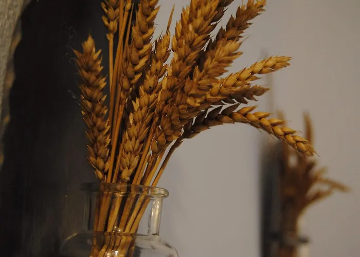 Fotinos House Maison d'hôtes