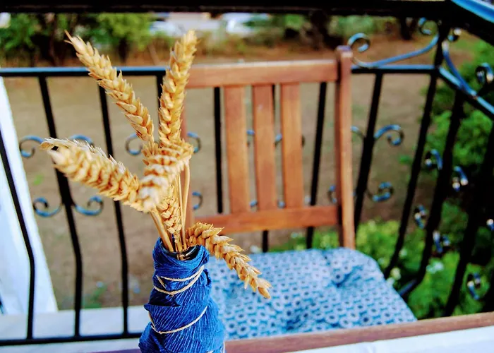 Fotinos House 3* Skiathos Chora