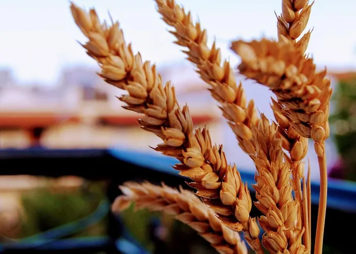 Fotinos House Skiathos Chora