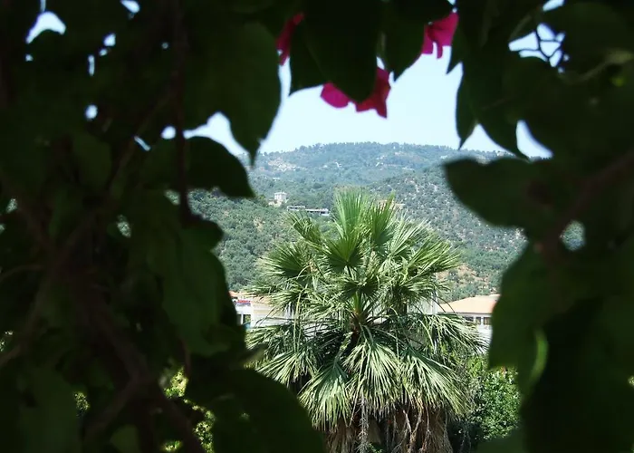 Fotinos House Maison d'hôtes Skiathos Chora