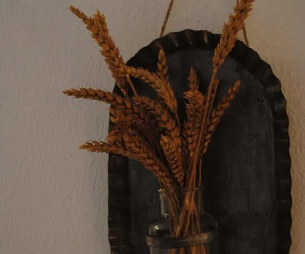 Maison d'hôtes Fotinos House