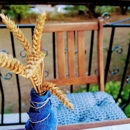 Fotinos House 3* Σκιάθος Πόλη