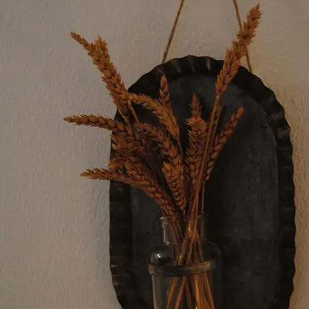 Πανσιόν Fotinos House