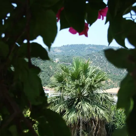 Fotinos House Gæstehus Skiathos by